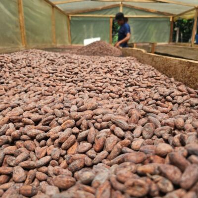 Chocolade proeverij | Vrijdag 6 november| 18.30 – 20.00 | Alphen a/d Rijn