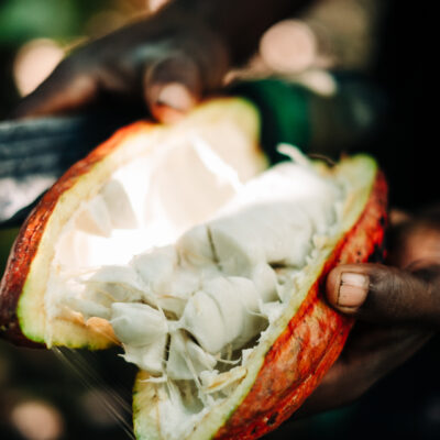 Chocolade proeverij | Zaterdag 30 mei| 10.30 – 12.00 | Alphen a/d Rijn