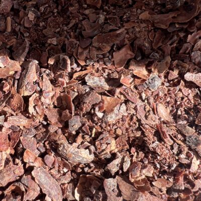 Cacao thee